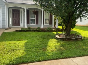 1 Southaven Ms Lawn Care Service Lawn Mowing From 19 Best 2021