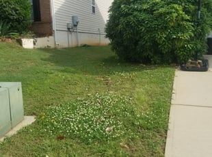 Southlake Tx Lawn Care Service Lawn Mowing From 19 Lawnstarter