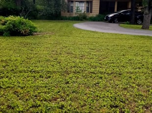 Spring Hill Tn Lawn Care Mowing, Landscaping In Spring Hill Tn