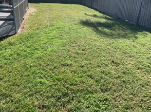 Springboro, OH Lawn Care Service | Lawn Mowing from $19 | LawnStarter