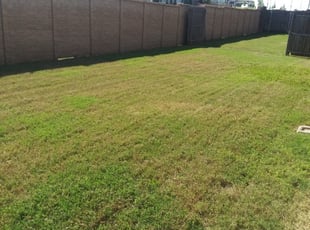 Stamford, CT Lawn Care Service | Lawn Mowing from $19 | Rated Best 2021