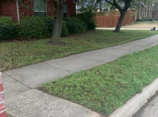 Sharon D.'s Lawn Service service in Andrew's Lawns Treeatment & Lawnscap