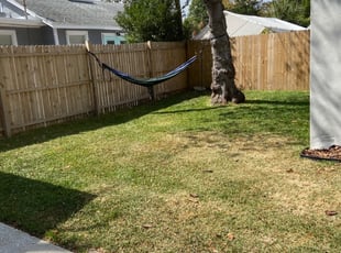 Sharon D.'s Lawn Service service in Bennie's Lawns Care Service LLC