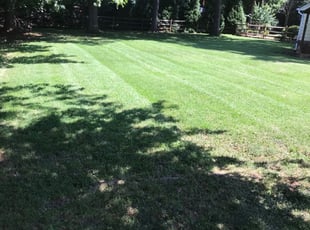 Karen B.'s Yard Cutting service in Viking LawnCar
