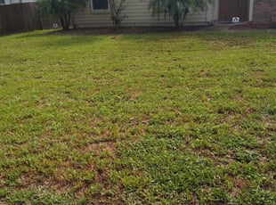 Cynthia A.'s Grass Cutting service in Janice Brown's Lawns Solutions