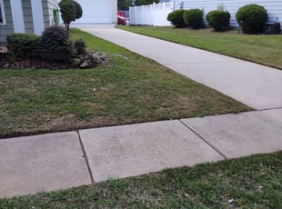 Daniel C.'s Lawn Care service in Southern Boyz landscaping
