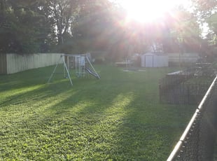 Michael W.'s Lawn Mowing service in Benfield's Lawns Care, Landscape & Tree