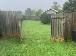 Loretta P.'s Grass Cutting service in Benfield's Lawns Care, Landscape & Tree