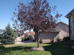 Stone Mountain Ga Landscaping From 29 1 Landscapers Best Of 2021