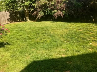 Stone Mountain Ga Landscaping From 29 1 Landscapers Best Of 2021