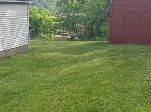 Stone Mountain Ga Landscaping From 29 1 Landscapers Best Of 2021