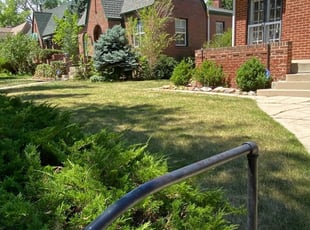 1 Stone Mountain Ga Lawn Care Service Lawn Mowing From 19 Best 2021