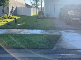 1 Streamwood Il Lawn Care Service, Cruz Landscaping Jacksonville Fl