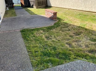 Sugar Land Tx Landscaping From 29 1 Landscapers Best Of 2021