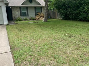 Takoma Park Md Landscaping From 29 1 Landscapers Best Of 2021