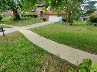 Takoma Park Md Landscaping From 29 1 Landscapers Best Of 2021