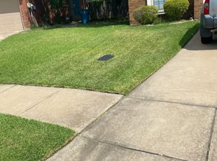 25 Best Landscapers in Tampa, FL | Landscaping from $29 ...