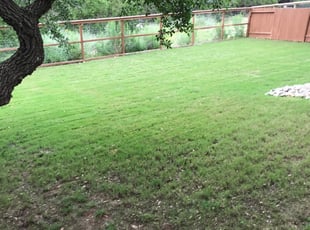 Taylors Sc Lawn Care Service Lawn Mowing From 19 Rated Best 2021 Taylors Sc Lawn Care Service Lawn Mowing From 19 Rated Best 2021