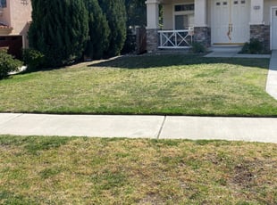 Terre Haute In Landscaping From 29 1 Landscapers Best Of 2021
