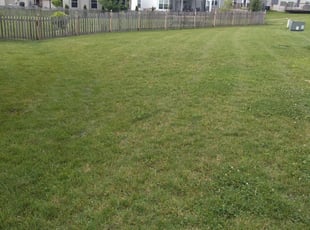 Turlock Ca Lawn Care Service Lawn Mowing From 19 Rated Best 2021