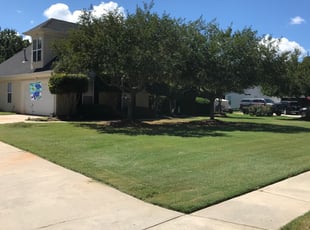 1 Valrico Fl Lawn Care Service Lawn Mowing From 19 Best 2021
