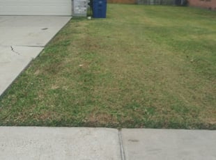 Vero Beach, FL Landscaping from $29 | #1 Landscapers ...