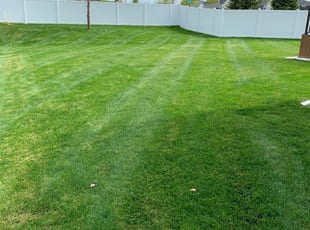 Virginia Beach Va Landscaping From 29 1 Landscapers Best Of 2021