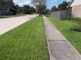 1 Virginia Beach Va Lawn Care Service Lawn Mowing From 19 Best 2021