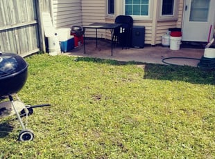 1 Virginia Beach Va Lawn Care Service Lawn Mowing From 19 Best 2021