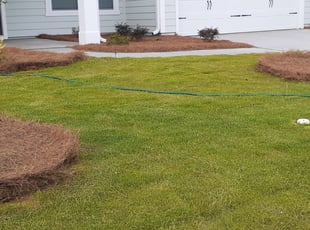 Armando group landscaping