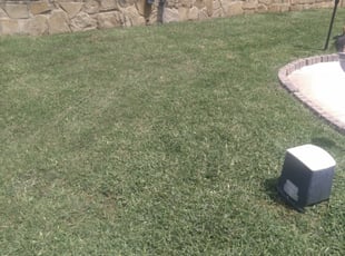 Westwood Ma Lawn Care Service Lawn Mowing From 19 Best 2021