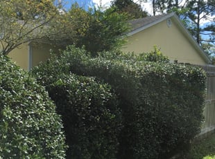 Landscapers in wilmington il