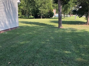 Wilton Ct Landscaping From 29 1 Landscapers Best Of 2021