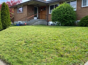Wilton Ct Landscaping From 29 1 Landscapers Best Of 2021