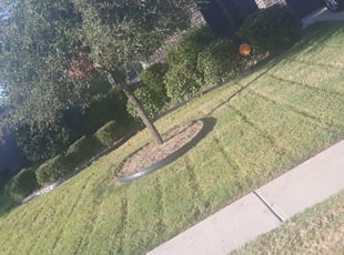 Landscape Design Winter Garden Fl - 7 Reasons To Hire Blg Environmental
