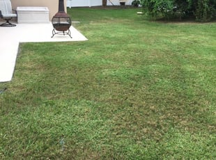 Winter Garden Fl Lawn Care Service Mowing From 19 Lawnstarter Winter Garden Fl Lawn Care Service, Winter Garden Lawn Care