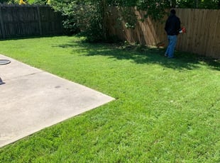 Winter Haven Fl Landscaping From 29 1 Landscapers Best Of 2021