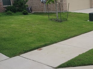 هاميل براذرز المناظر الطبيعية