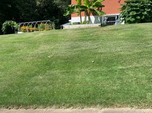 Yakima, WA Landscaping from $29 | #1 Landscapers | Best of 2021