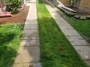 Yakima, WA Landscaping from $29 | #1 Landscapers | Best of 2021