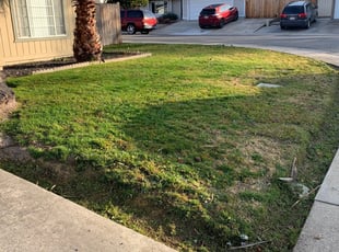 Youngsville Nc Landscaping From 29 1 Landscapers Best Of 2021 Landscape design/build for central new york since 1981. youngsville nc landscaping from 29