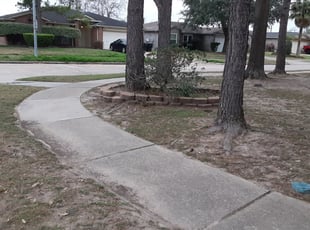 Yucaipa Ca Lawn Care Service Lawn Mowing From 19 Rated Best 2021