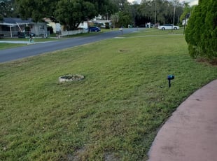 #1 Zephyrhills, FL Lawn Care Service | Lawn Mowing from ...