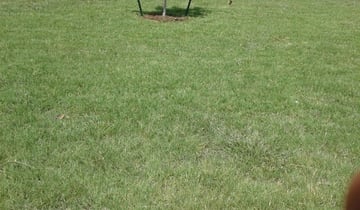 Silver Spring Md Landscaping From 29 1 Landscapers Best Of 2021