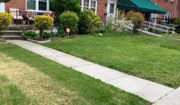 Alexandria Va Landscaping From 29 1 Landscapers Best Of 2021