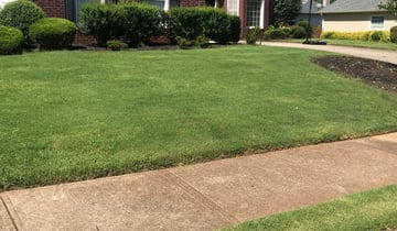 1 Apex Nc Lawn Care Service Lawn Mowing From 19 Best 2021