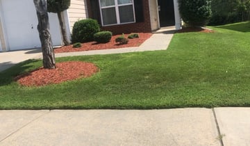 Apopka Fl Landscaping From 29 1 Landscapers Best Of 2021