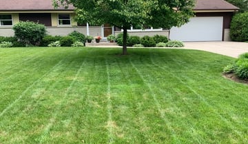 Austin Tx Landscaping From 29 1 Landscapers Best Of 2021 Austin Tx Landscaping From 29 1, Better Lawns And Gardens Eugene