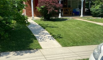 Baltimore Md Landscaping From 29 1 Landscapers Best Of 2021