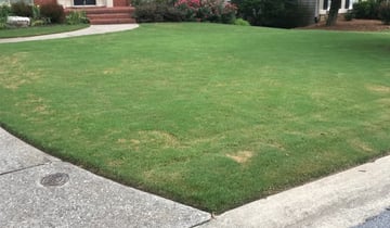 1 Baltimore Md Lawn Care Service, Professional Landscaping Services Anderson Institute